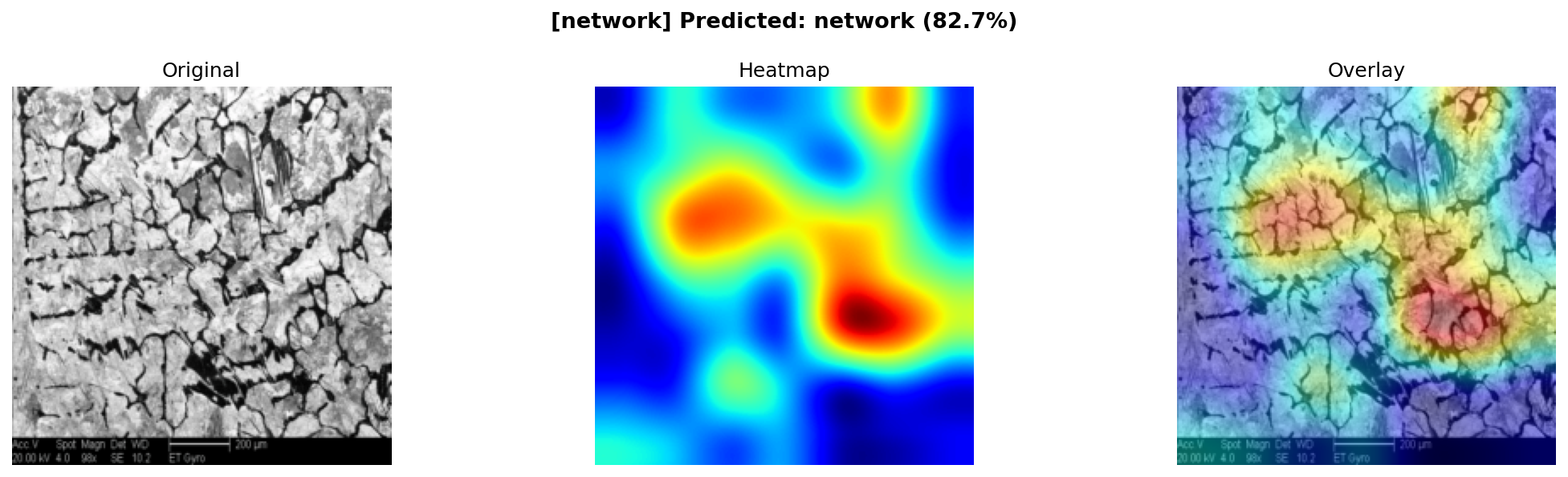 Grad-CAM network
